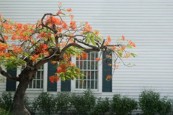 The Importance Of Professional Siding Installation Services in Westbrook, ME The Importance Of Professional Siding Installation Services in Westbrook, ME